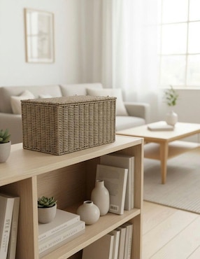 Set Cesto almacenamiento Haus de plàstico