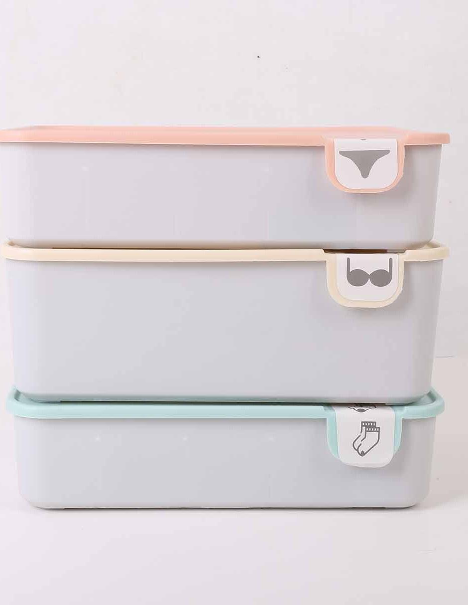 Organizador de ropa 2