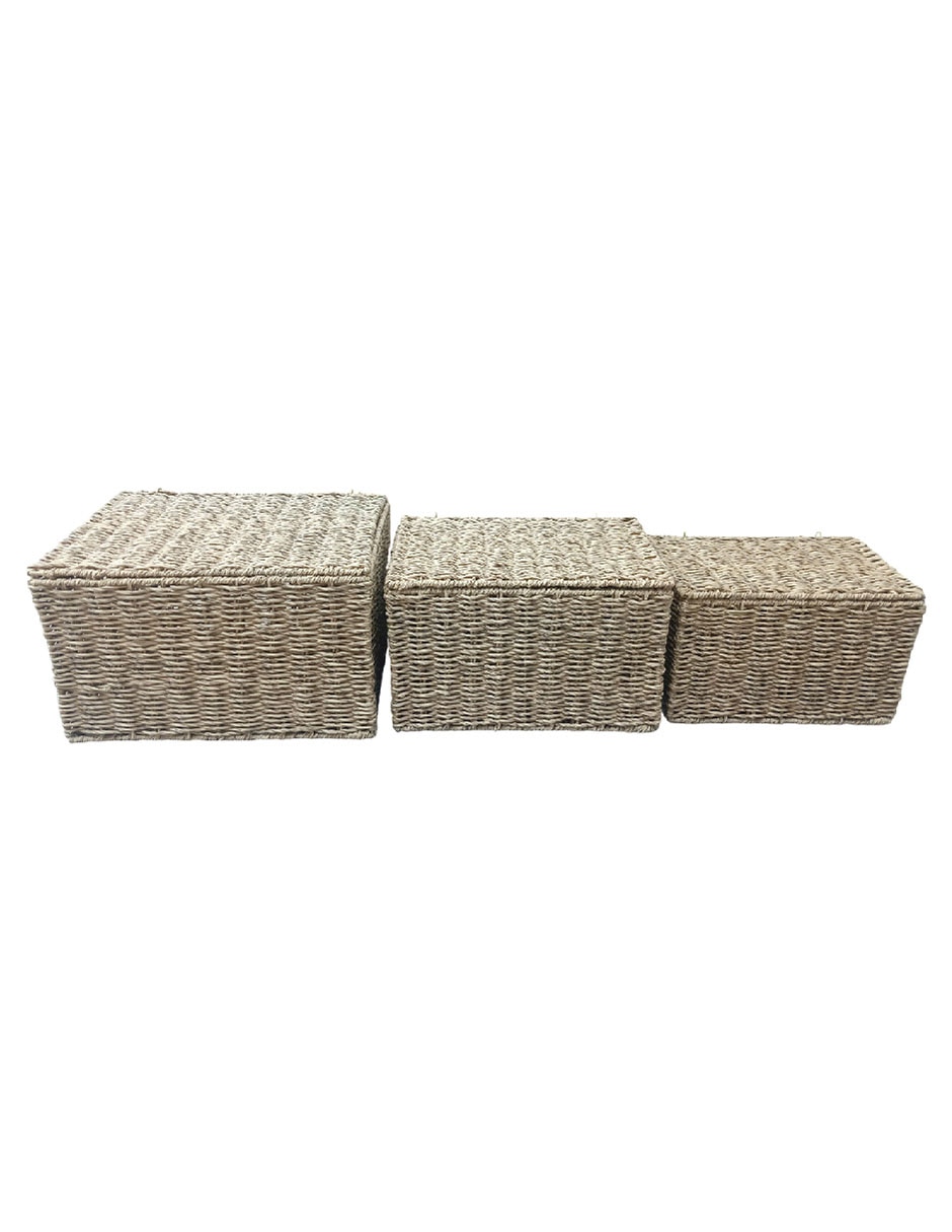 Set Cesto almacenamiento de plàstico 3