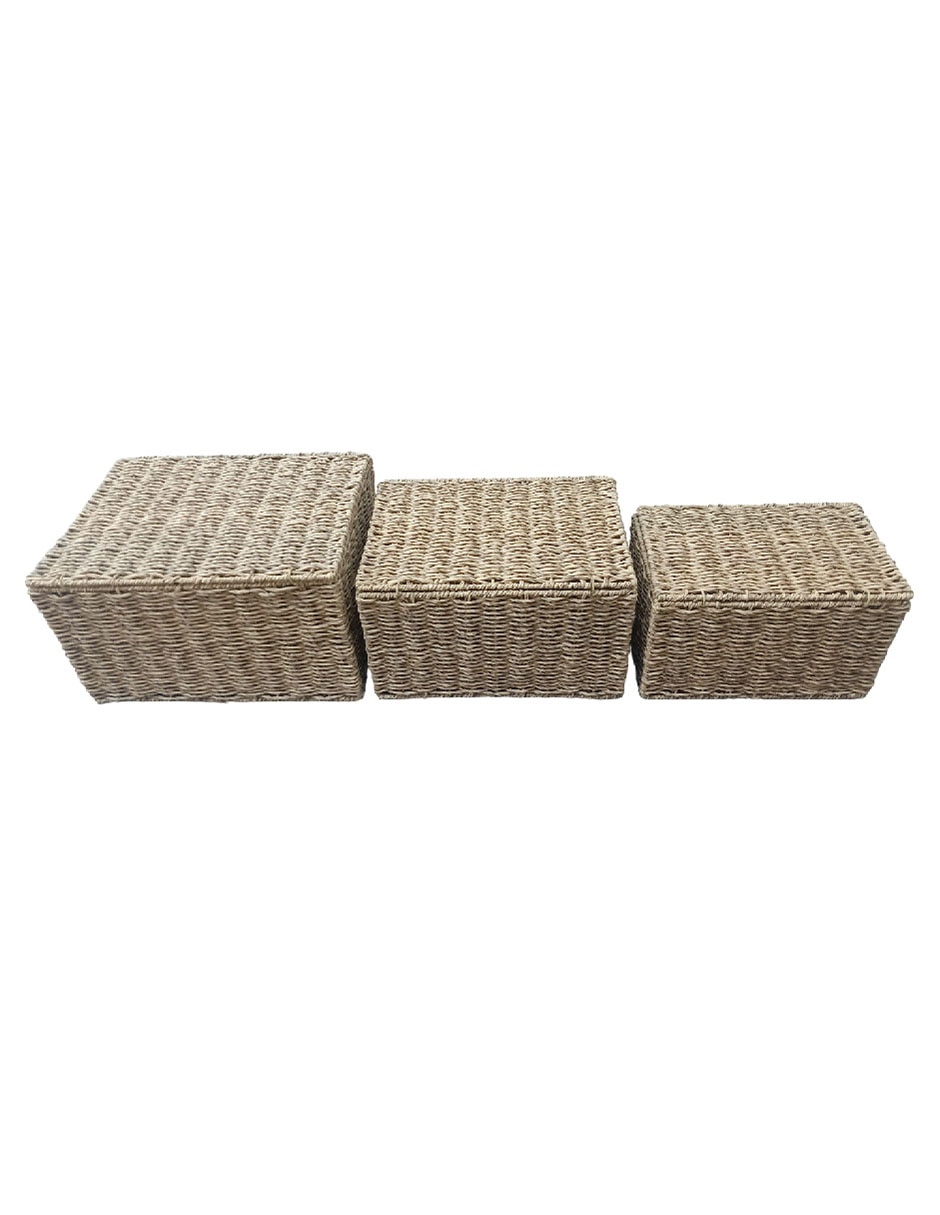 Set Cesto almacenamiento de plàstico 4